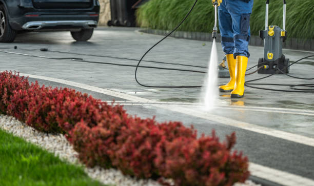 Best Roof Pressure Washing  in Becker, MN
